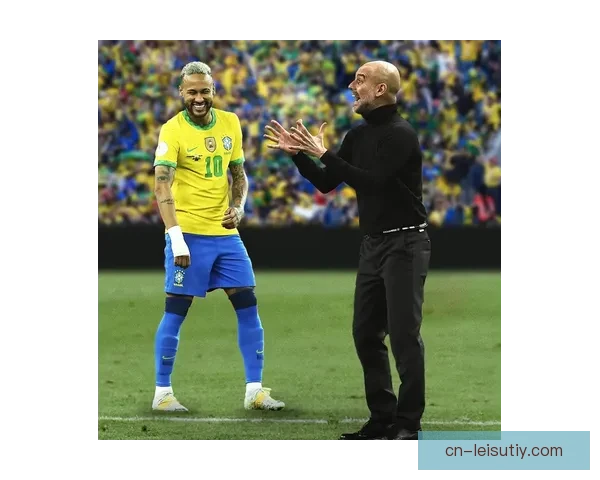 巴西足协致函国际足联严惩歧视